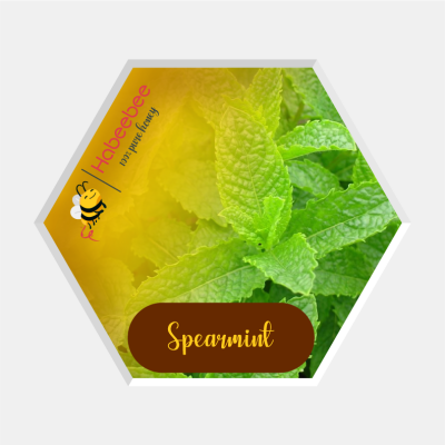 Honing - Spearmint